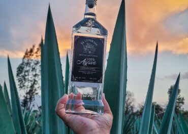 Mezcal de Morelia: Sabor Auténtico y Natural